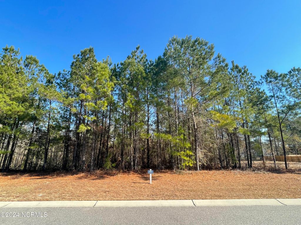 Photo of 3772 Silver Melon Road NE, Leland, NC 28451 (MLS # 100417427)