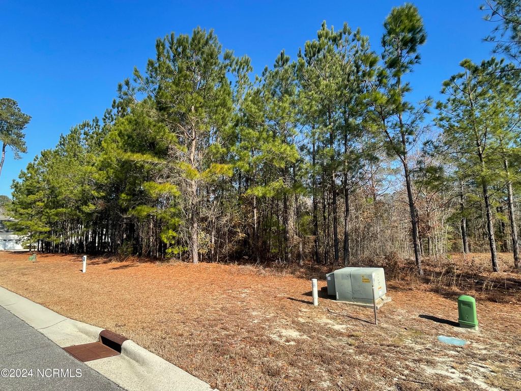 Photo of 3772 Silver Melon Road NE, Leland, NC 28451 (MLS # 100417427)