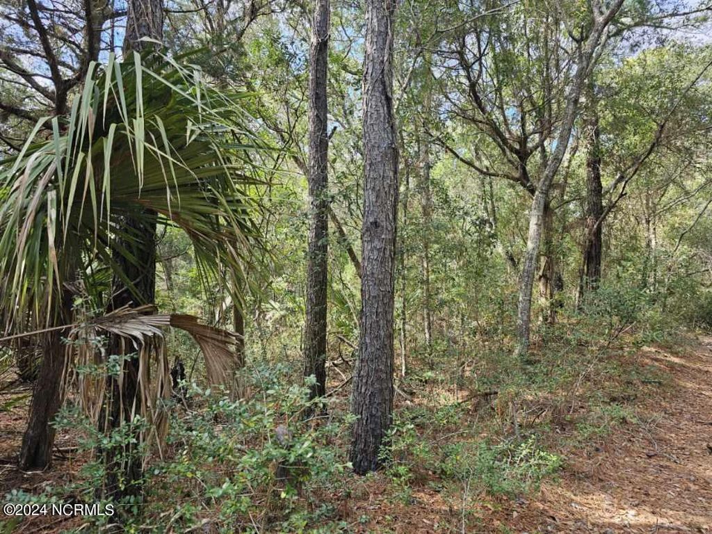 Photo of 5 Musket Court, Bald Head Island, NC 28461 (MLS # 100430706)