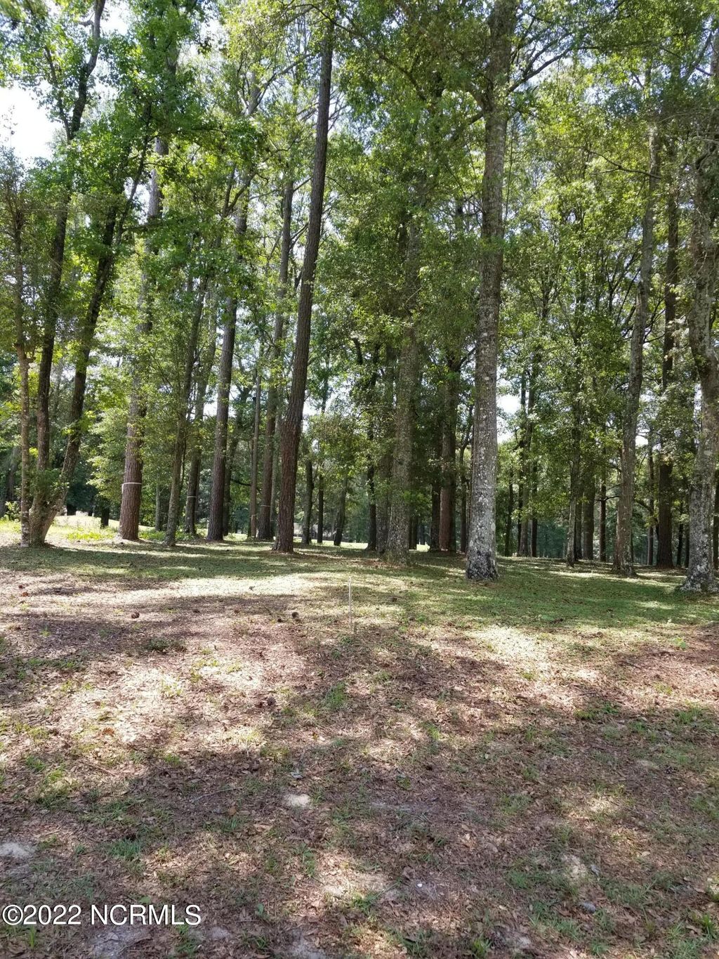 Photo of 41 White Heron Court, Sunset Beach, NC 28468 (MLS # 100330728)