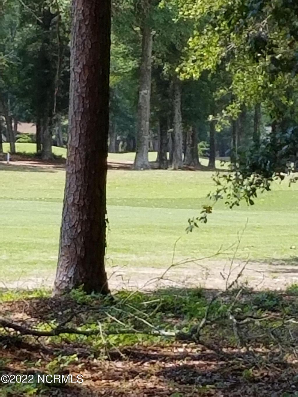 Photo of 41 White Heron Court, Sunset Beach, NC 28468 (MLS # 100330728)