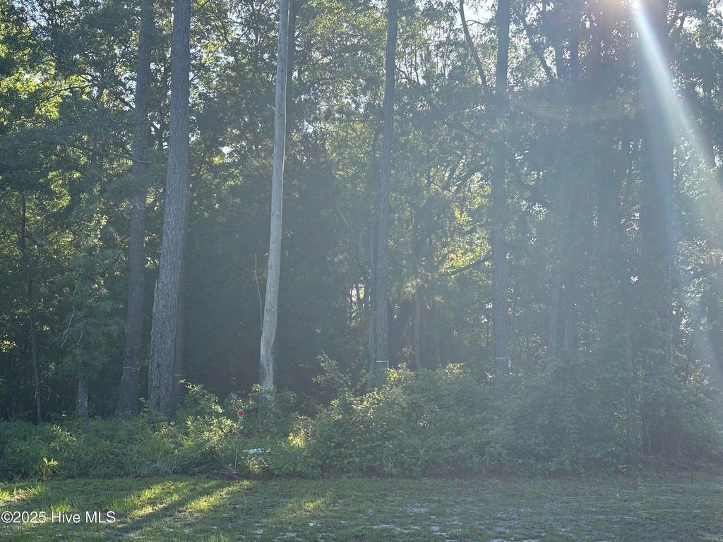 Photo of 996 Ashburton Road SE, Bolivia, NC 28422 (MLS # 100520858)