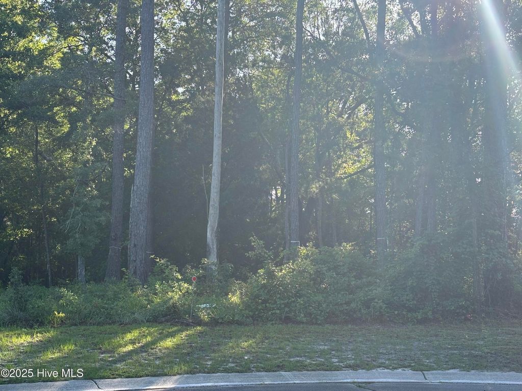 Photo of 996 Ashburton Road SE, Bolivia, NC 28422 (MLS # 100520858)