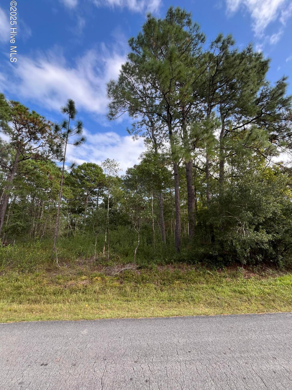 Photo of 416 Juniper Road, Boiling Spring Lakes, NC 28461 (MLS # 100534605)