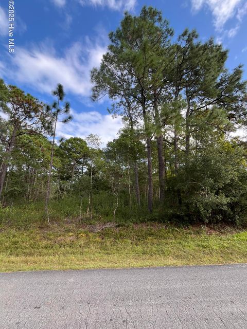 Photo of 416 Juniper Road, Boiling Spring Lakes, NC 28461 (MLS # 100534605)
