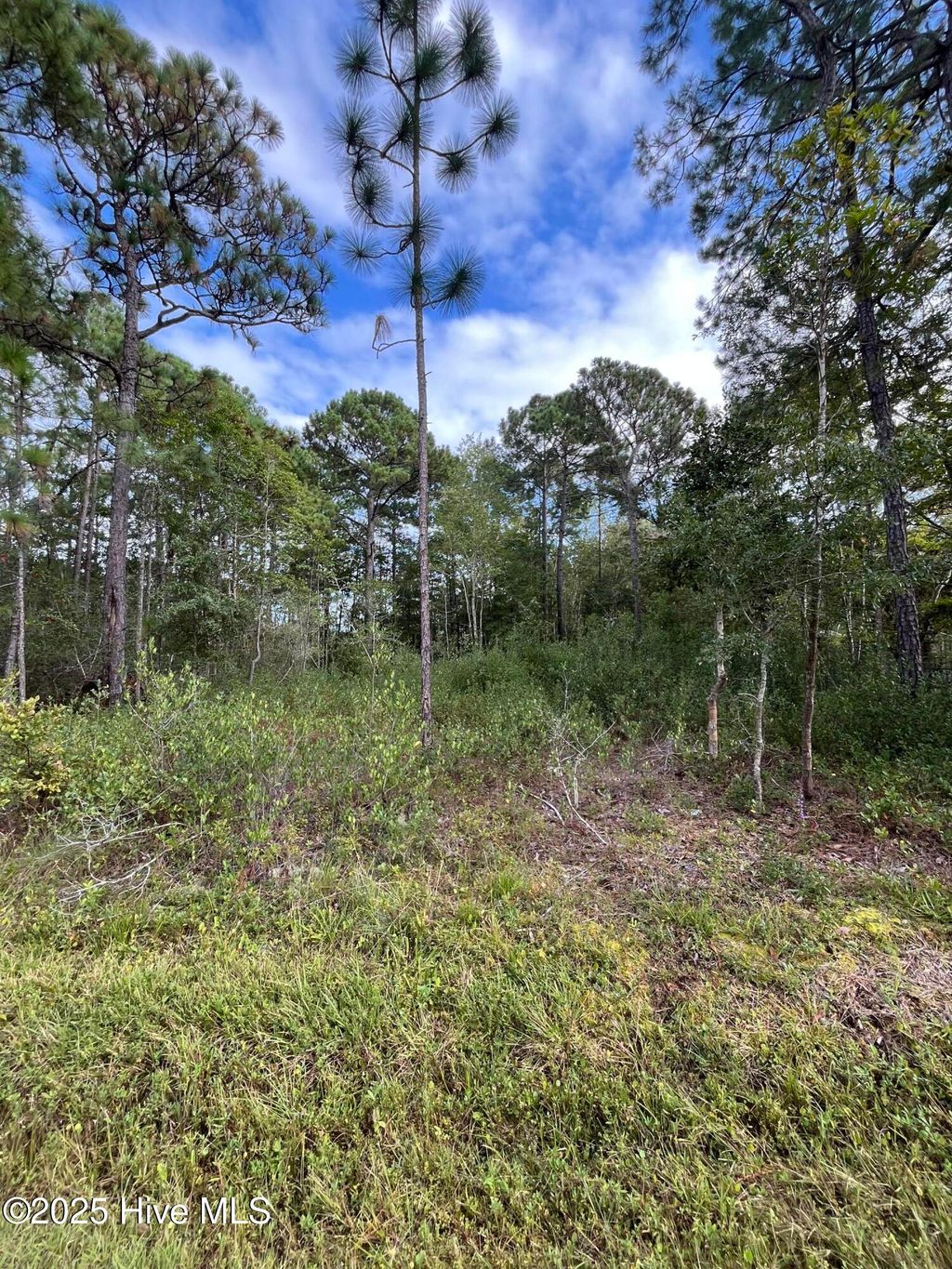 Photo of 416 Juniper Road, Boiling Spring Lakes, NC 28461 (MLS # 100534605)