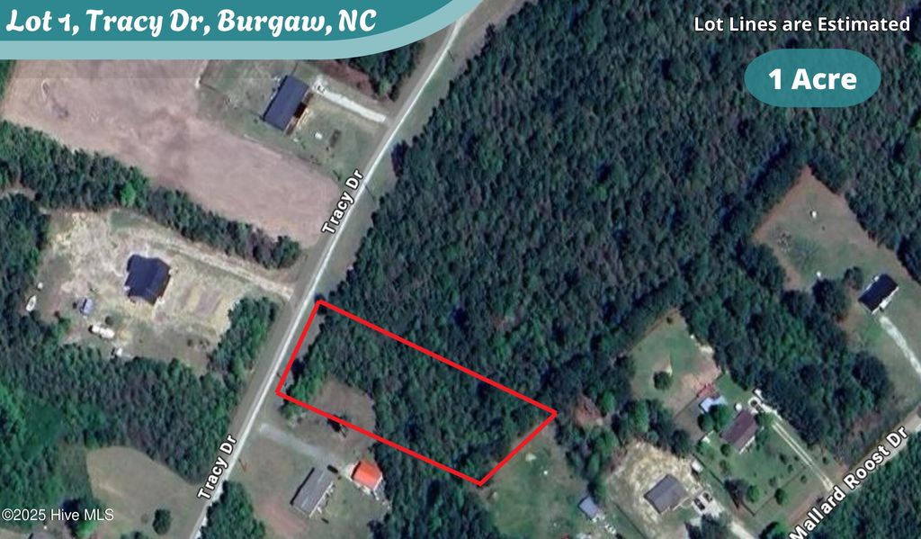 Photo of 1 Tracy Drive, Burgaw, NC 28425 (MLS # 100518069)