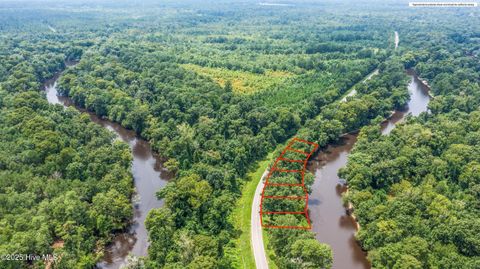 Tiny photo for 918 Croomsbridge Road, Burgaw, NC 28425 (MLS # 100525049)
