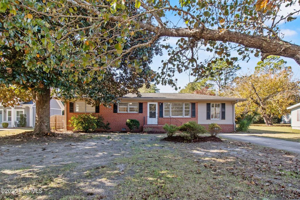 Photo of 213 Woodland Drive, Wilmington, NC 28403 (MLS # 100541080)