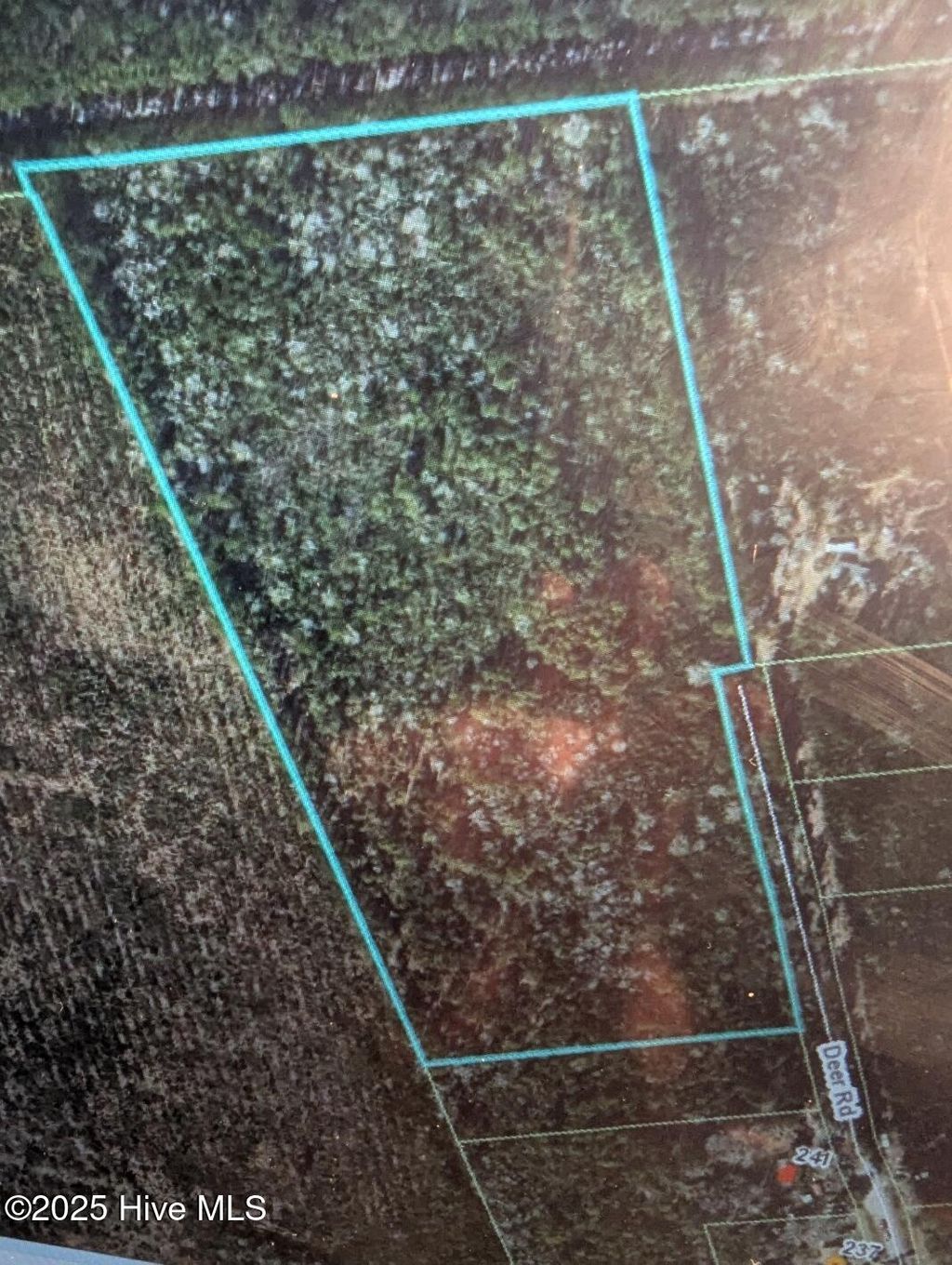 Photo of 00 Deer Road, Hubert, NC 28539 (MLS # 100517772)