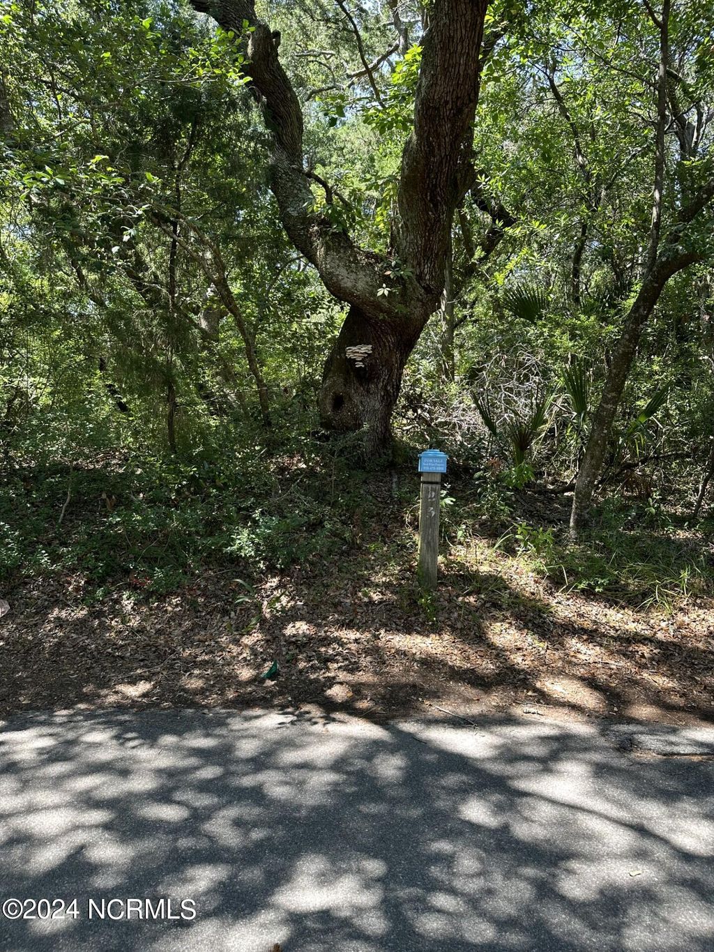 Photo of 23 Three Flipper Trail, Bald Head Island, NC 28461 (MLS # 100464009)
