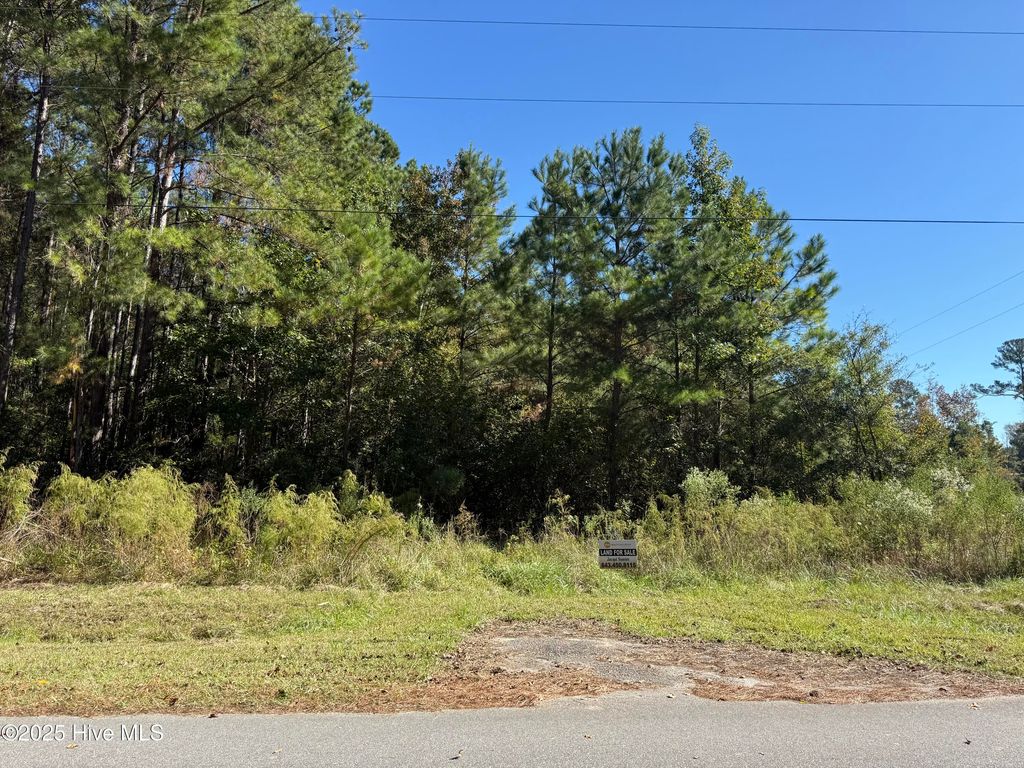 Photo of Tbd Tharpe Rd Road, Little River, SC 29566 (MLS # 100538085)