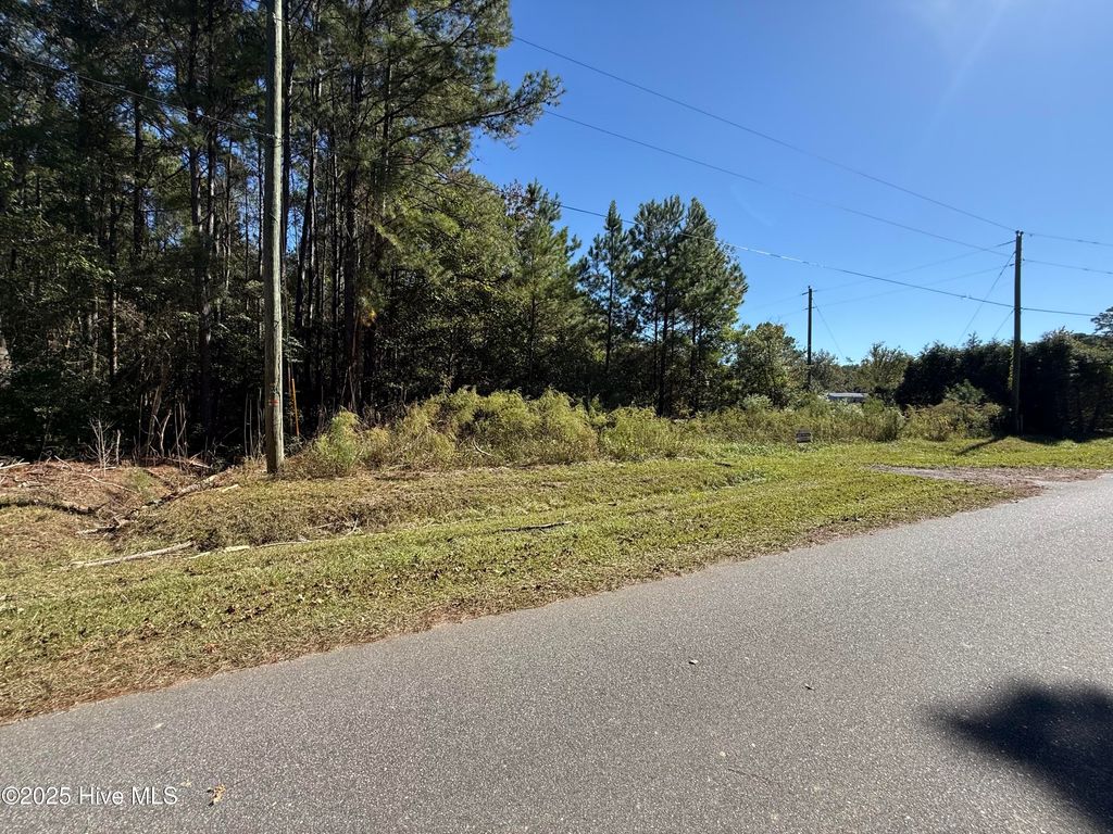 Photo of Tbd Tharpe Rd Road, Little River, SC 29566 (MLS # 100538085)