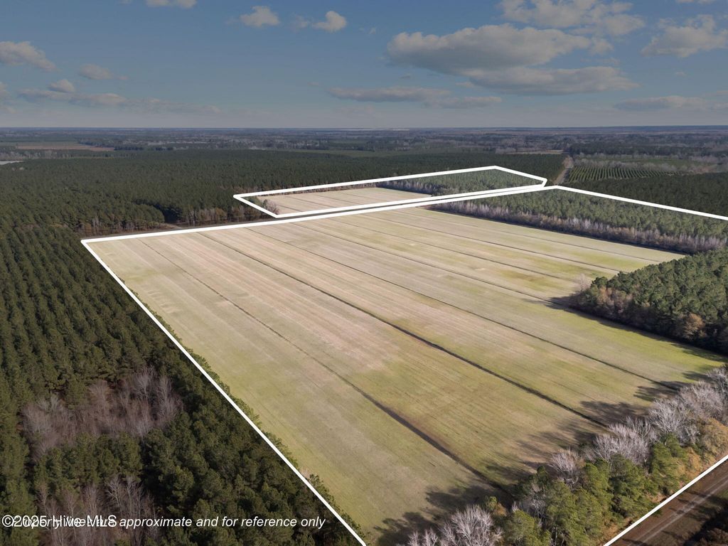 Photo of 0 Sr 1950, Edward, NC 27821 (MLS # 100543661)