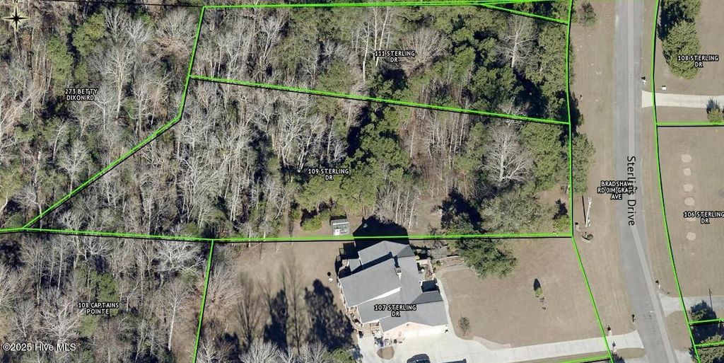 Photo of 109 Sterling Drive, Sneads Ferry, NC 28460 (MLS # 100543189)