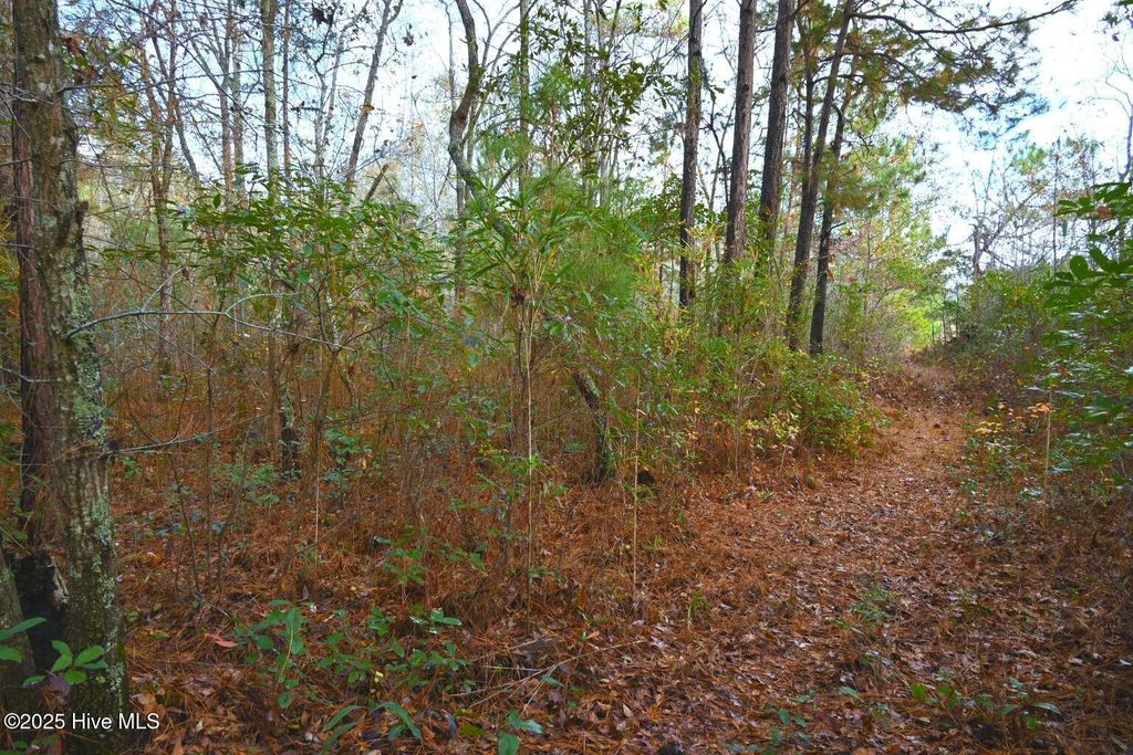 Photo of 00 Elrod Road, Rowland, NC 28383 (MLS # 100543378)