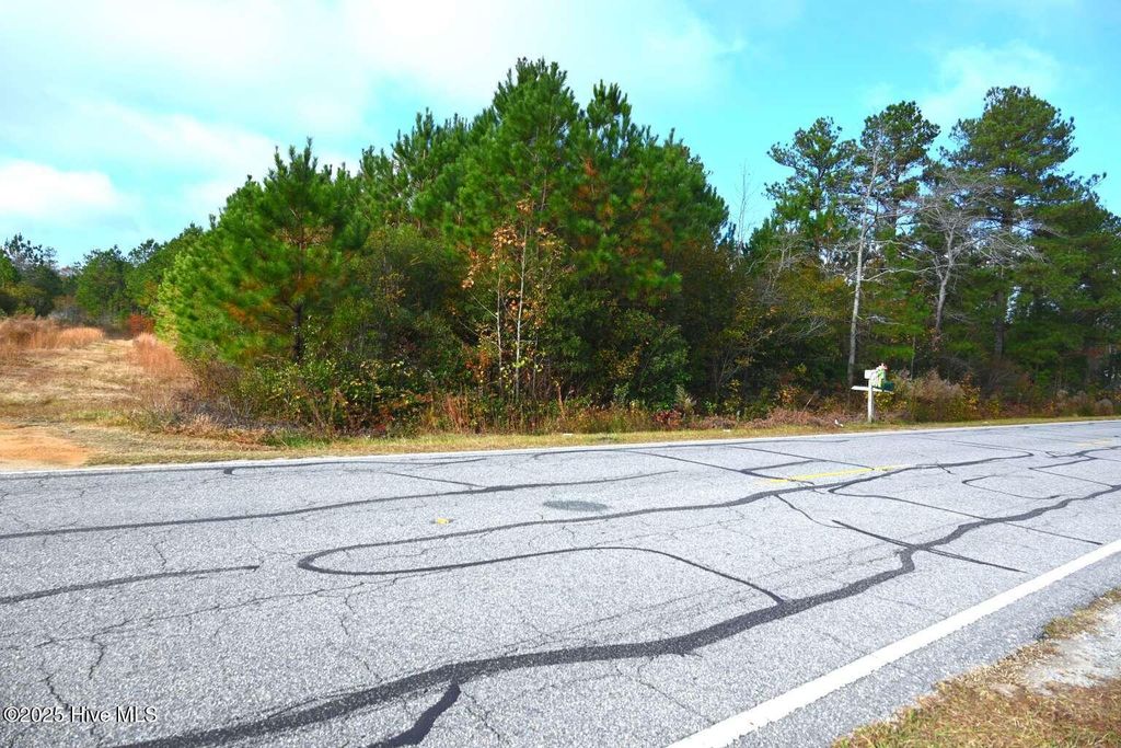 Photo of 00 Elrod Road, Rowland, NC 28383 (MLS # 100543378)