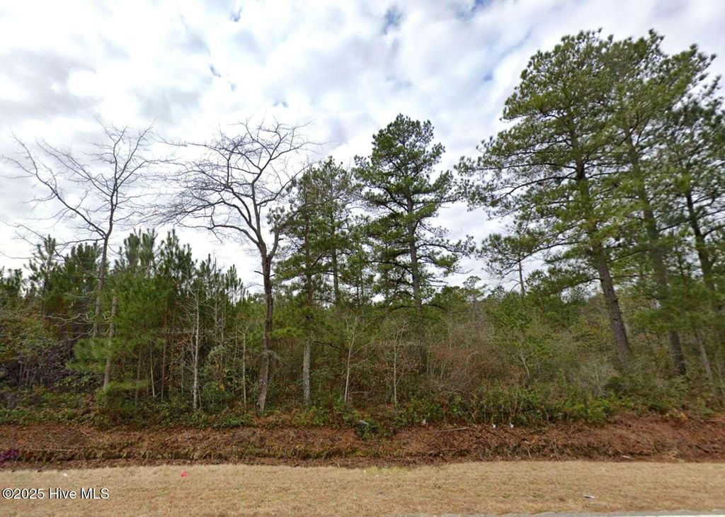 Photo of 00 Elrod Road, Rowland, NC 28383 (MLS # 100543378)