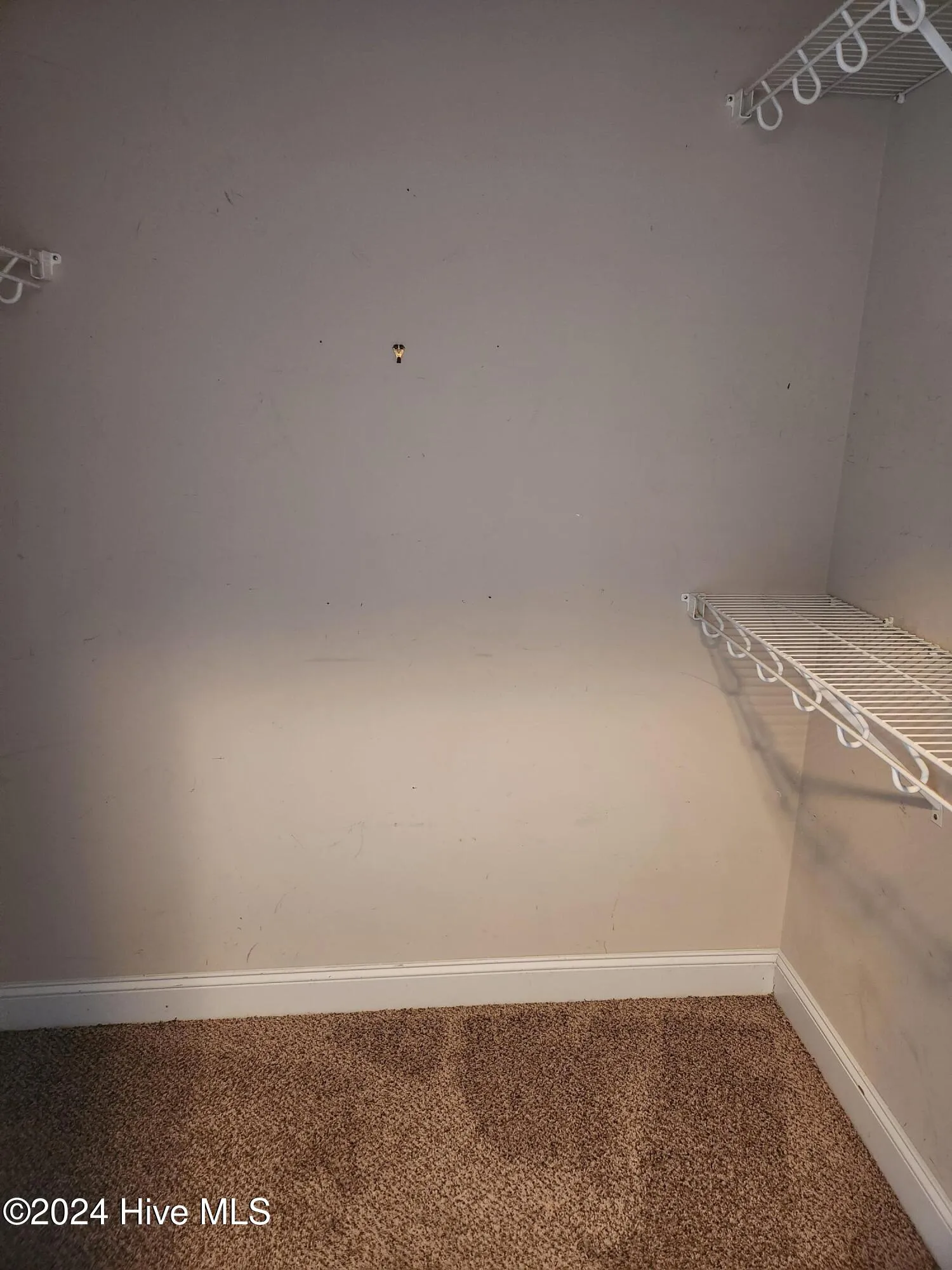 Princeton, North Carolina 27569, United States, 4 Bedrooms Bedrooms, ,3 BathroomsBathrooms,Residential,Pending,24067