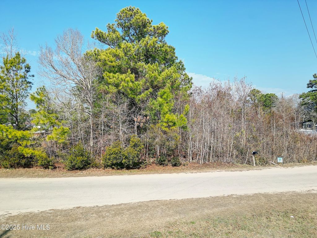 Photo of 1570 Little Shallotte River Drive SW, Shallotte, NC 28470 (MLS # 100487915)