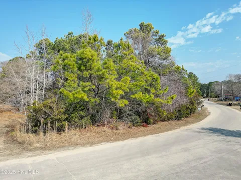 MLS: 100487915
