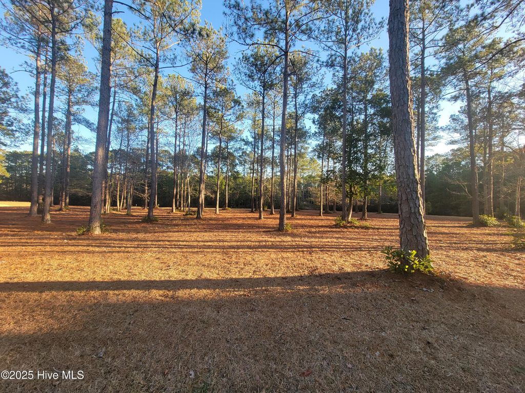 Photo of 6614 Carrick Notch SW, Ocean Isle Beach, NC 28469 (MLS # 100487700)