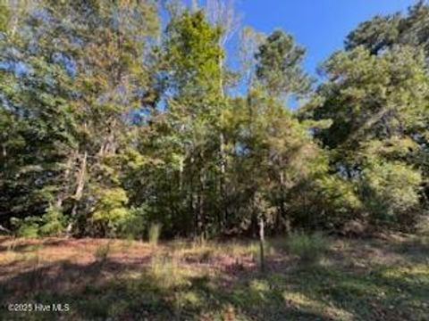 Tiny photo for 3 Mccoy, Jacksonville, NC 28546 (MLS # 100536799)