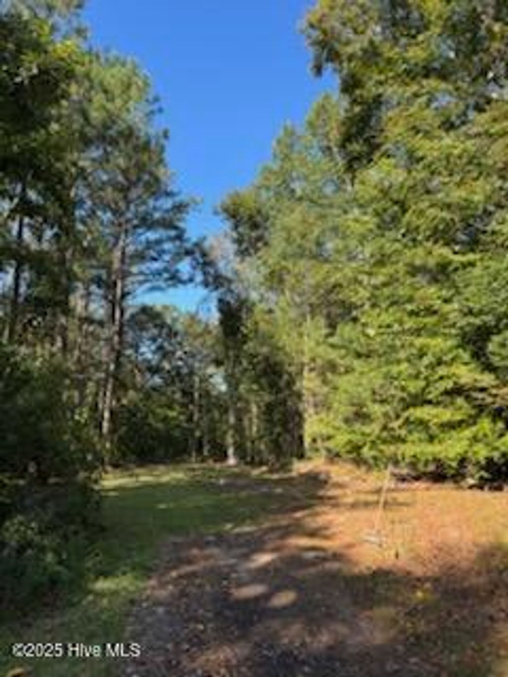 Photo of 3 Mccoy, Jacksonville, NC 28546 (MLS # 100536799)