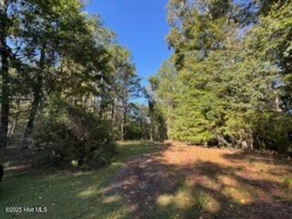 Photo of 3 Mccoy, Jacksonville, NC 28546 (MLS # 100536799)