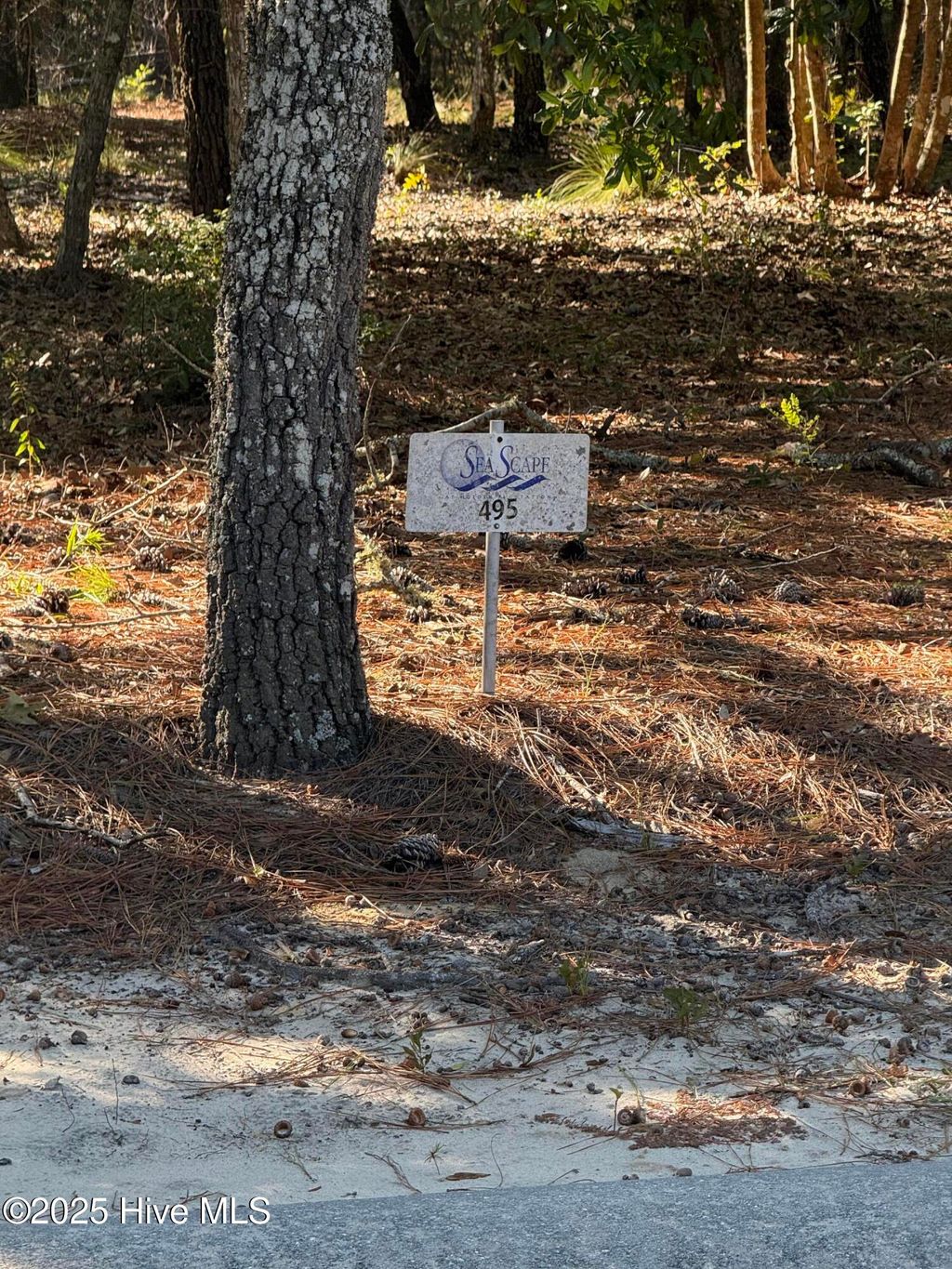 Photo of 3532 Edisto Avenue SW, Supply, NC 28462 (MLS # 100536795)