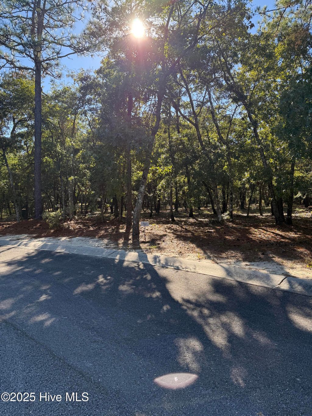 Photo of 3532 Edisto Avenue SW, Supply, NC 28462 (MLS # 100536795)
