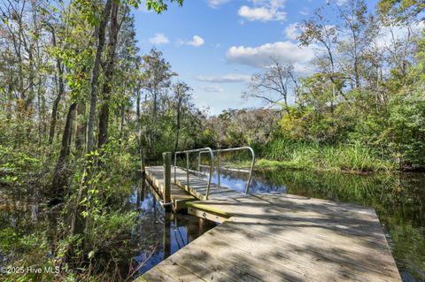 Tiny photo for 36 Slate Lane, Rocky Point, NC 28457 (MLS # 100535073)