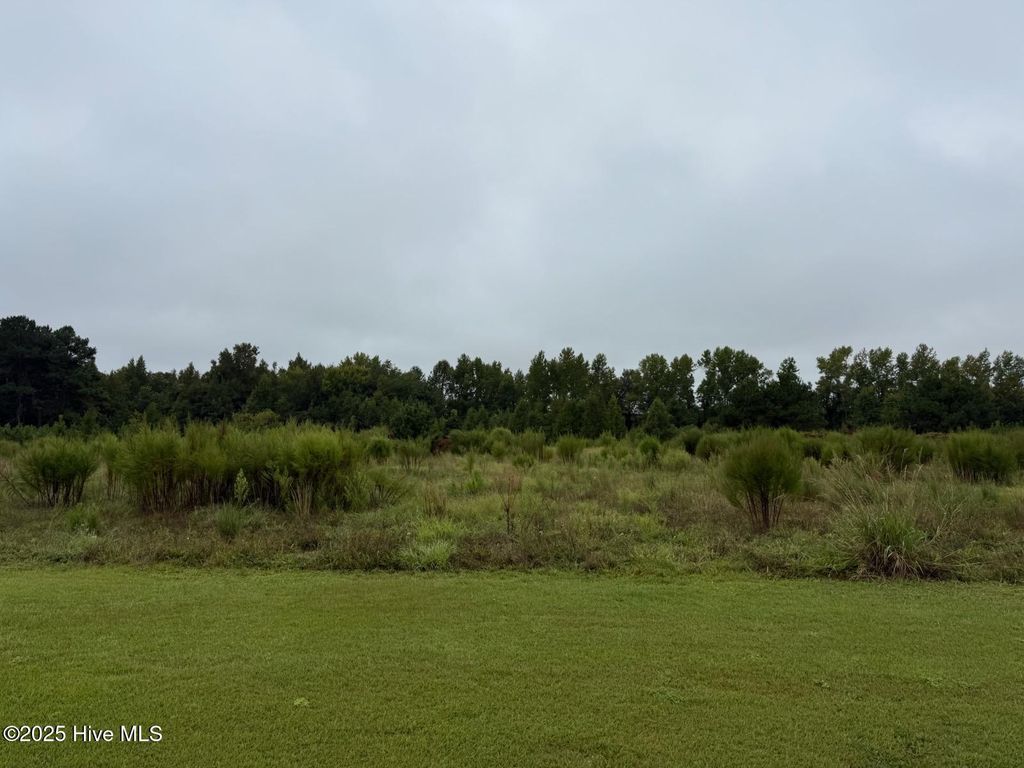 Photo of 331 Tucker Street, Grifton, NC 28530 (MLS # 100531996)