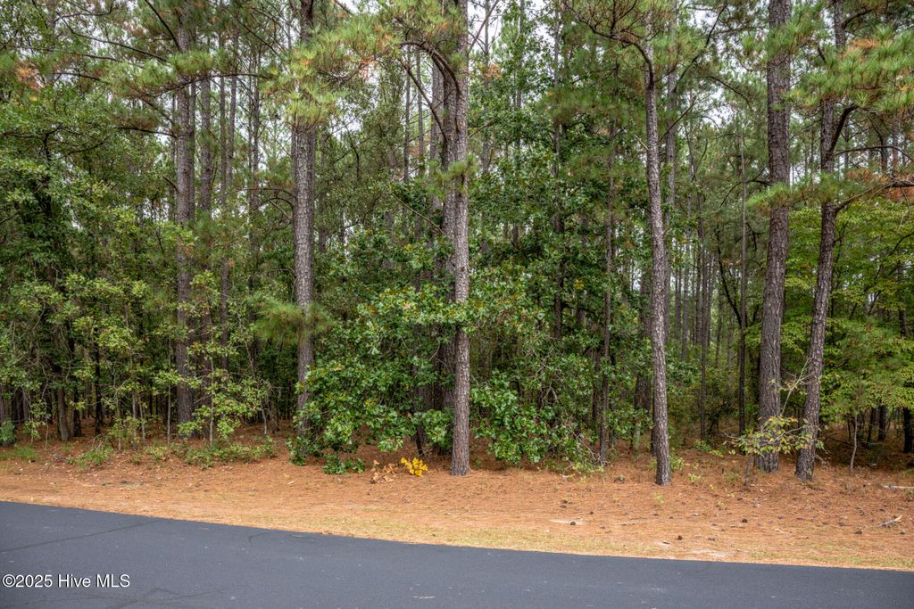 Photo of 5 Deercroft, Wagram, NC 28396 (MLS # 100535308)