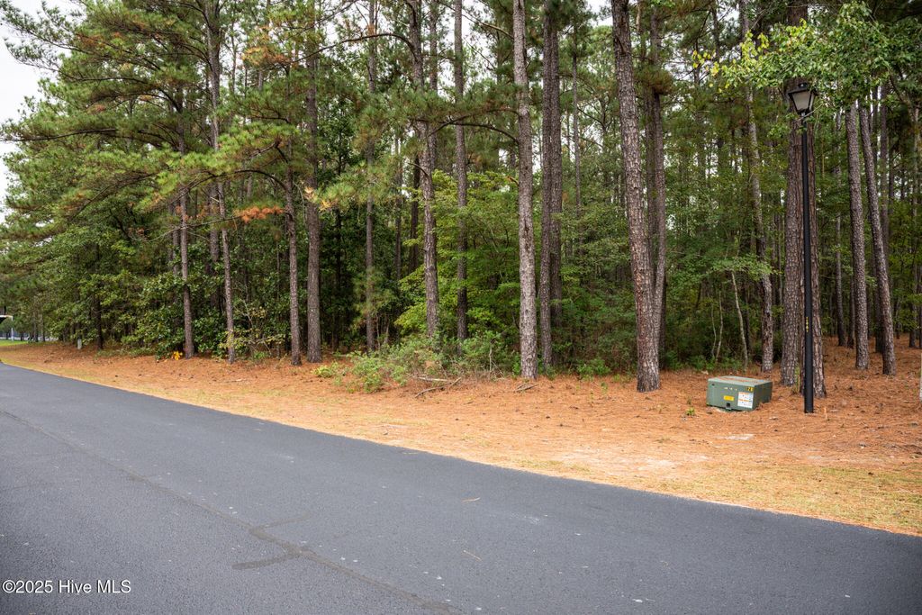 Photo of 5 Deercroft, Wagram, NC 28396 (MLS # 100535308)