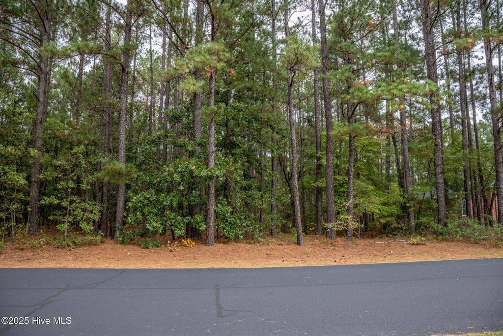 Photo of 5 Deercroft, Wagram, NC 28396 (MLS # 100535308)