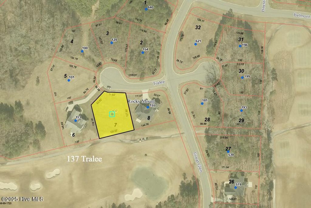 Photo of 137 Tralee Ct, Rocky Mount, NC 27804 (MLS # 100493946)