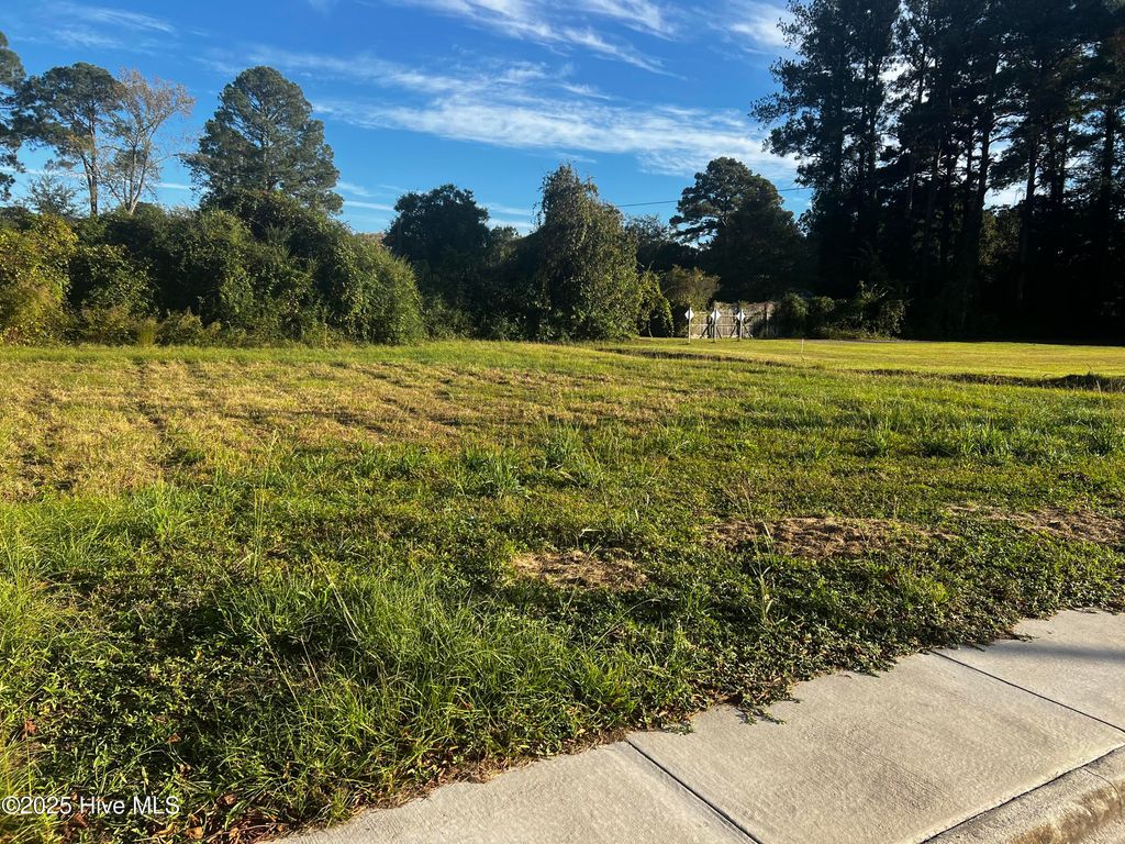 Photo of 1211 Van Norden Street, Washington, NC 27889 (MLS # 100537933)
