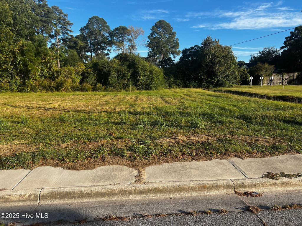 Photo of 1211 Van Norden Street, Washington, NC 27889 (MLS # 100537933)