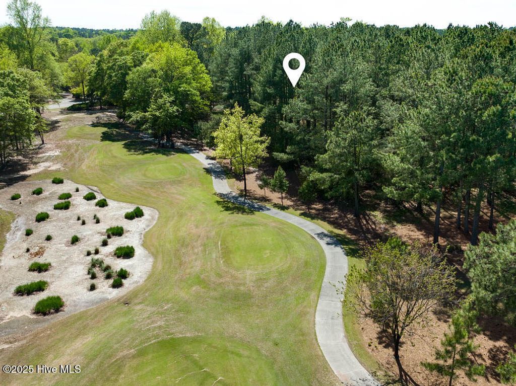 Photo of 118 Firefly Drive, Wallace, NC 28466 (MLS # 100495378)