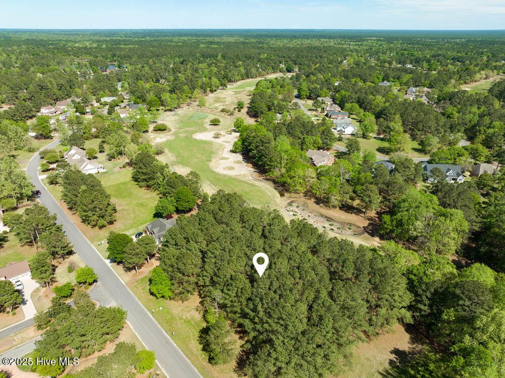 Photo of 118 Firefly Drive, Wallace, NC 28466 (MLS # 100495378)