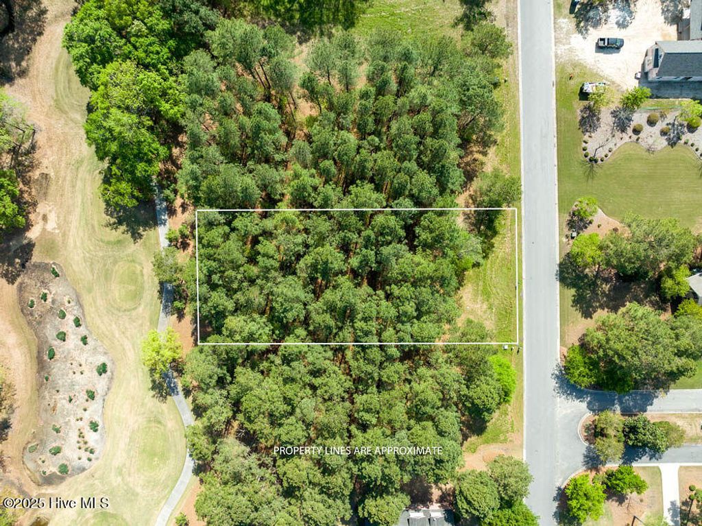Photo of 118 Firefly Drive, Wallace, NC 28466 (MLS # 100495378)