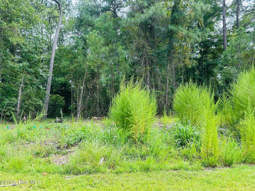 Photo of 6075 Ocean Isle Palms Way SW, Shallotte, NC 28470 (MLS # 100527839)