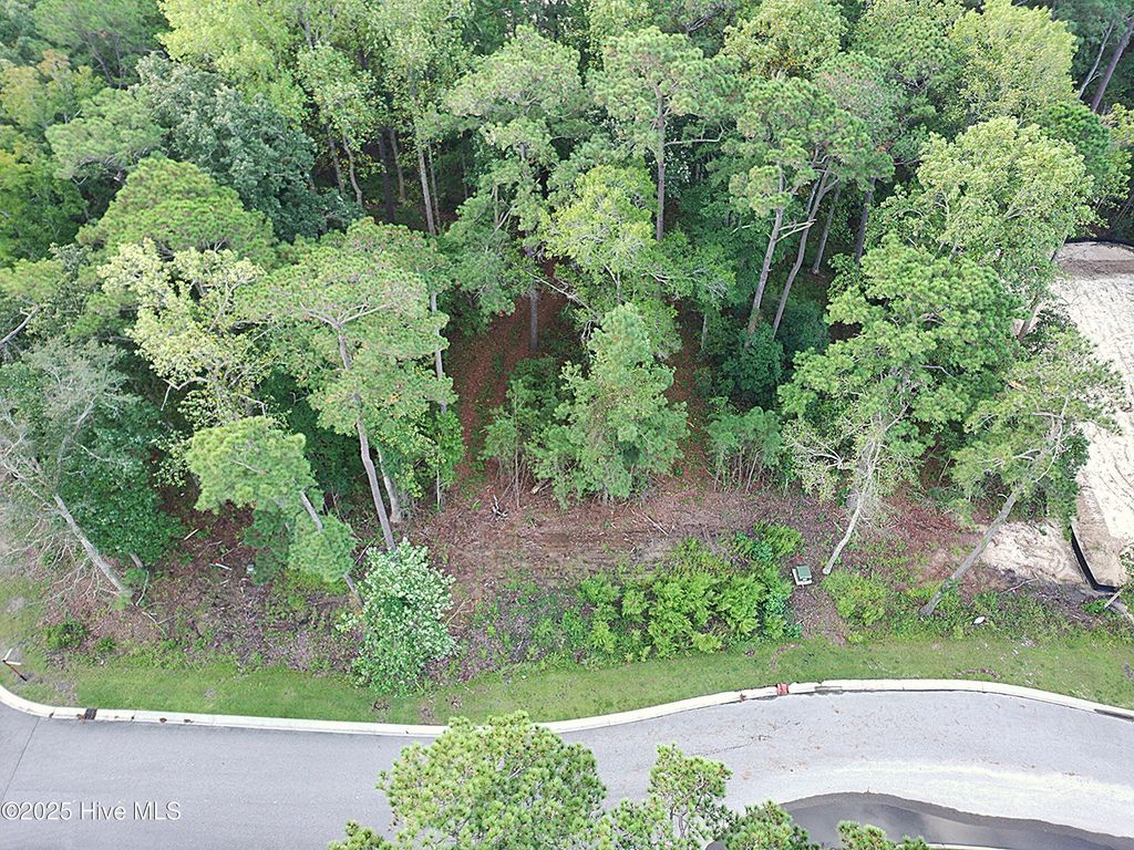 Photo of 6075 Ocean Isle Palms Way SW, Shallotte, NC 28470 (MLS # 100527839)