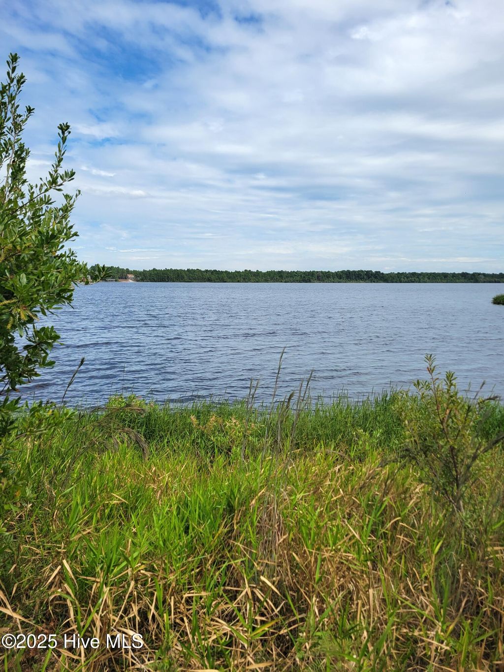 Photo of 544 S Horsepen Drive, Harrells, NC 28444 (MLS # 100531127)