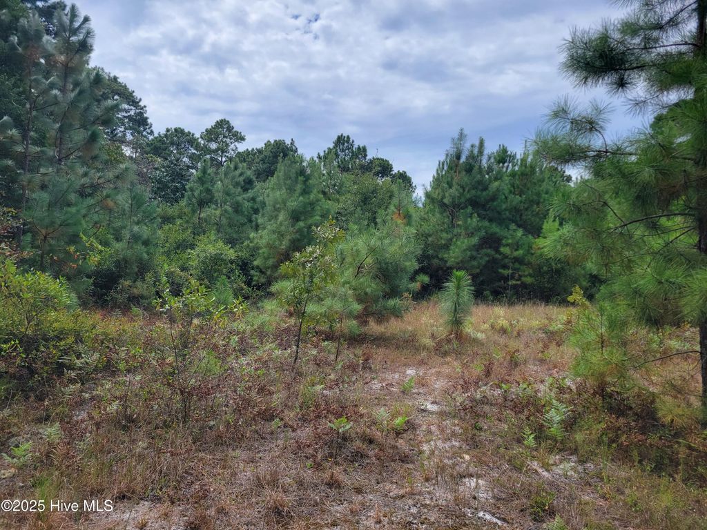 Photo of 544 S Horsepen Drive, Harrells, NC 28444 (MLS # 100531127)