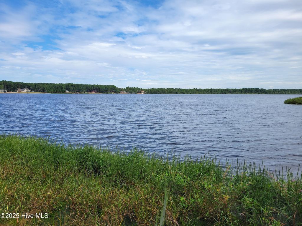 Photo of 544 S Horsepen Drive, Harrells, NC 28444 (MLS # 100531127)