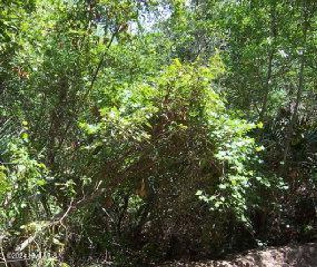 Photo of 126 Edward Teach, Bald Head Island, NC 28461 (MLS # 100480727)