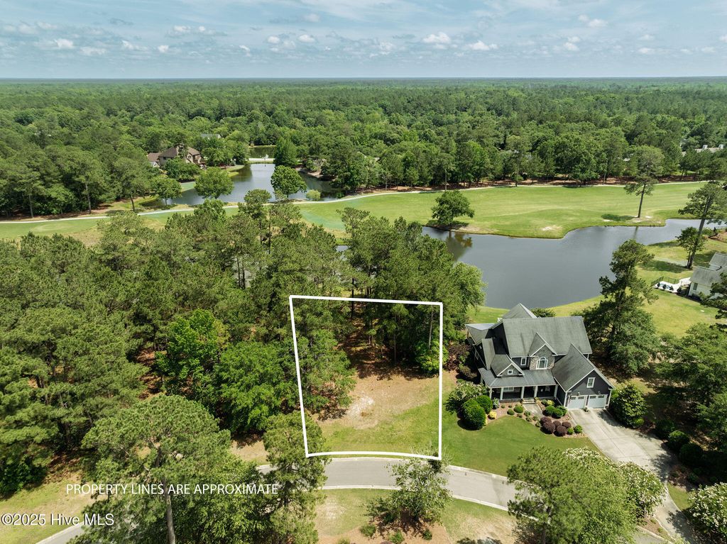 Photo of 166 Falls Landing Way, Wallace, NC 28466 (MLS # 100511072)