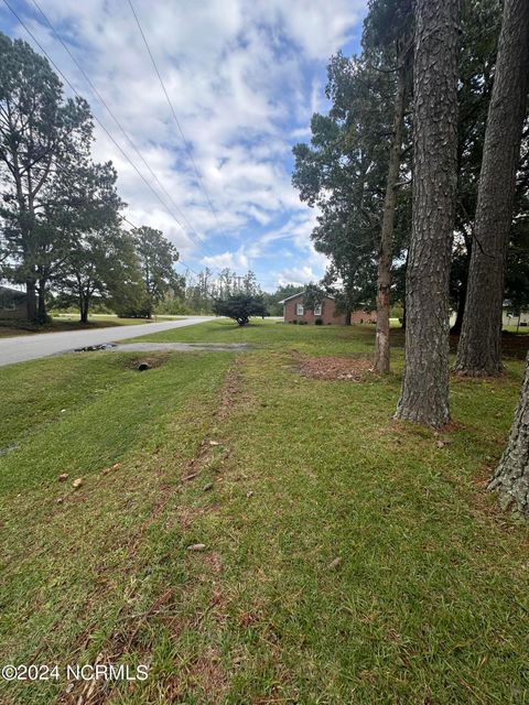 A home in Stantonsburg